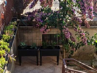 Altbauwohnung mit Balkon kaufen in 51415 Lovran (Bild 3)