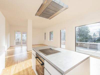 Terrassenwohnung kaufen in 1140 Wien (Bild 3)