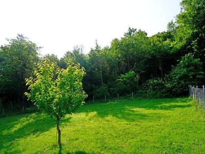 Grundstück kaufen in 3021 Pressbaum (Bild 5)