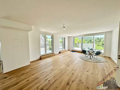 Terrassenwohnung kaufen in 1190 Wien (Bild 3)