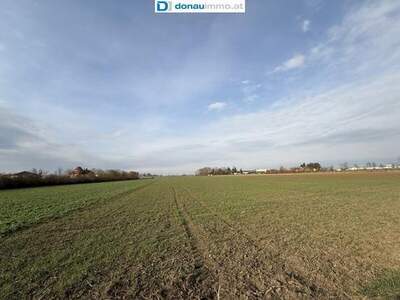 Grundstück kaufen in 3430 Nitzing