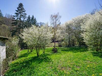 Grundstück kaufen in 3004 Ried (Bild 3)