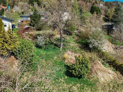 Grundstück kaufen in 9072 Ludmannsdorf (Bild 1)