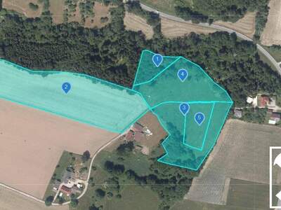 Gewerbeobjekt kaufen in 9131 Tainacherfeld