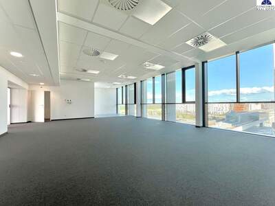 Gewerbeobjekt mieten in 1220 Wien (Bild 2)