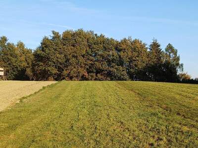 Gewerbeobjekt kaufen in 4941 Mehrnbach