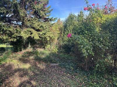 Haus kaufen in 7202 Bad Sauerbrunn (Bild 3)