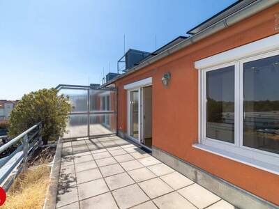 Terrassenwohnung kaufen in 2320 Schwechat (Bild 4)