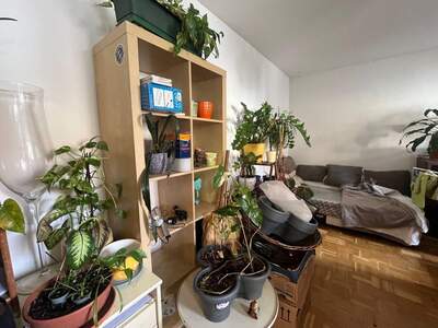 Wohnung mit Balkon mieten in 8010 Graz (Bild 2)