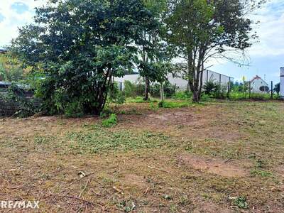 Grundstück kaufen in 8263 Großwilfersdorf