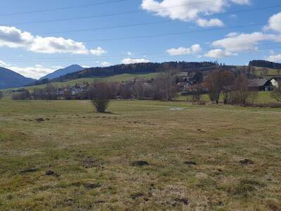 Grundstück kaufen in 8793 Trofaiach (Bild 4)