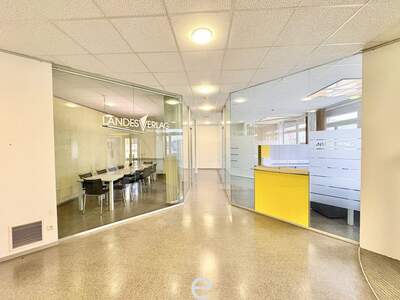 Gewerbeobjekt mieten in 4600 Wels (Bild 3)