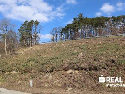 Grundstück kaufen in 4210 Gallneukirchen (Bild 2)