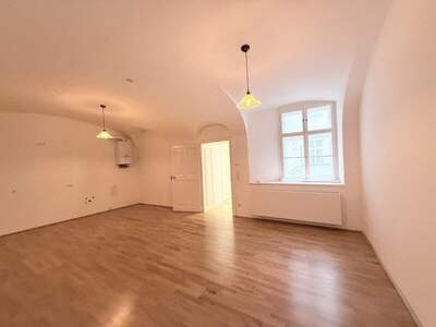 Büro / Praxis mieten in 1010 Wien (Bild 4)