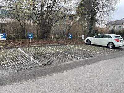 Immobilie kaufen in 4600 Wels (Bild 3)