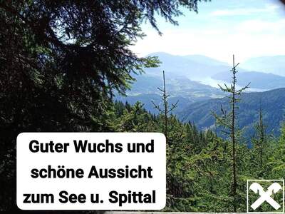 Grundstück kaufen in 9852 Trebesing