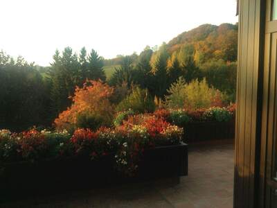 Einfamilienhaus kaufen in 3032 Eichgraben (Bild 2)