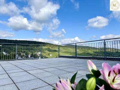 Haus kaufen in 1190 Wien