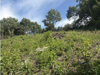 Grundstück kaufen in 3400 Klosterneuburg (Bild 5)