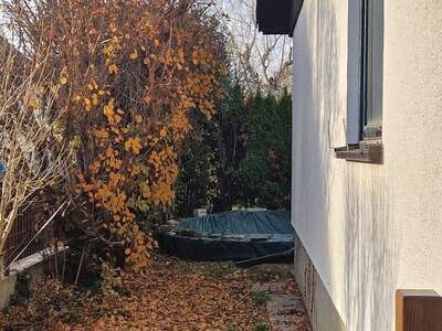 Einfamilienhaus kaufen in 1220 Wien (Bild 5)