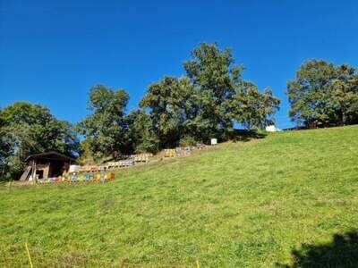 Grundstück kaufen in 9872 Millstatt (Bild 4)