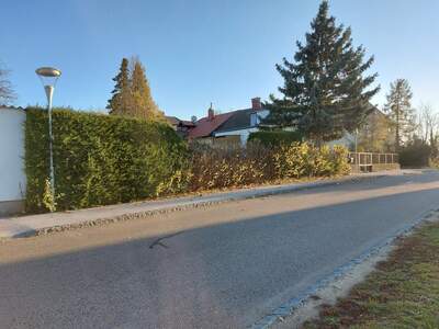 Einfamilienhaus kaufen in 2020 Hollabrunn (Bild 4)