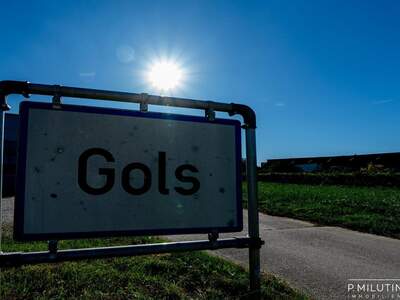 Grundstück kaufen in 7122 Gols (Bild 1)