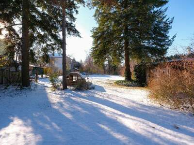 Einfamilienhaus kaufen in 2231 Strasshof (Bild 1)