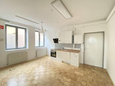 Gewerbeobjekt mieten in 4040 Linz (Bild 4)