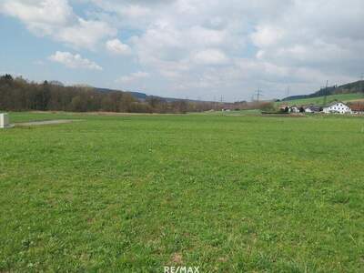 Grundstück kaufen in 4942 Wippenham (Bild 4)