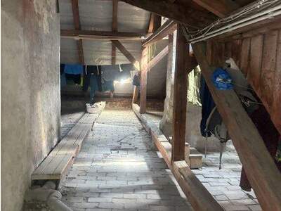 Haus kaufen in 1220 Wien (Bild 5)