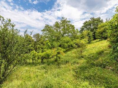Grundstück kaufen in 1190 Wien