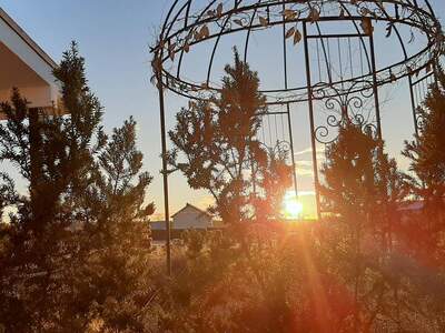 Haus kaufen in 8262 Ilz