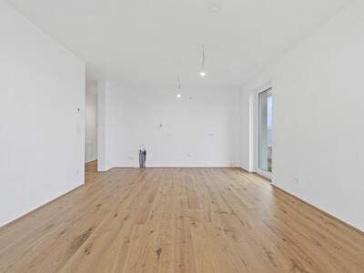 Terrassenwohnung kaufen in 2540 Bad Vöslau (Bild 5)