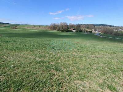 Grundstück kaufen in 4851 Gampern