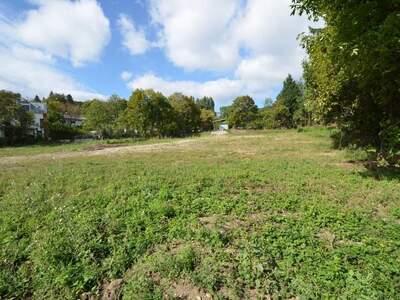 Grundstück kaufen in 2371 Hinterbrühl