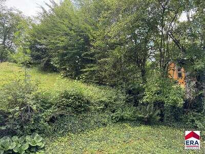 Grundstück kaufen in 3413 Hintersdorf (Bild 5)