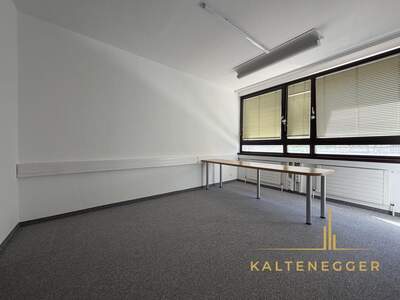 Gewerbeobjekt mieten in 1080 Wien (Bild 2)