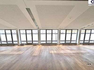 Gewerbeobjekt mieten in 1010 Wien (Bild 3)