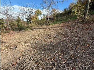 Grundstück kaufen in 3433 Königstetten (Bild 1)