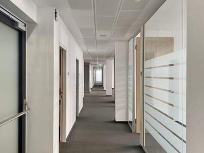 Gewerbeobjekt mieten in 1230 Wien (Bild 4)