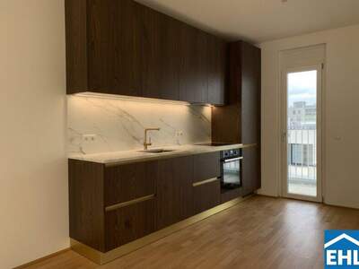 Terrassenwohnung kaufen in 1230 Wien (Bild 4)