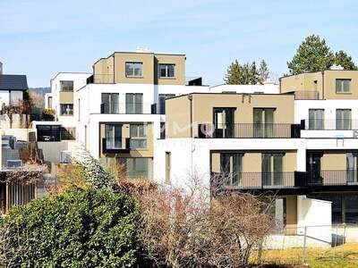 Haus kaufen in 2380 Perchtoldsdorf (Bild 5)