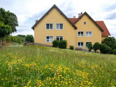 Wohnung mieten in 2813 Lichtenegg (Bild 4)
