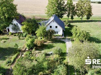 Haus kaufen in 4671 Neukirchen
