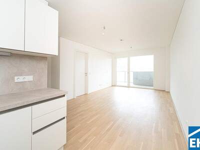 Terrassenwohnung kaufen in 1090 Wien (Bild 2)