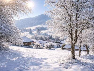 Grundstück kaufen in 6344 Walchsee