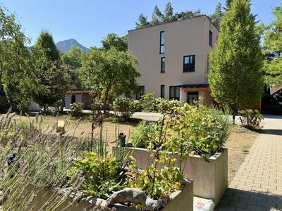 Wohnung mit Balkon kaufen in 4644 Scharnstein (Bild 5)