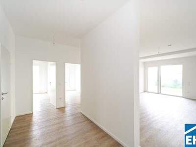 Terrassenwohnung mieten in 3451 Michelhausen (Bild 5)