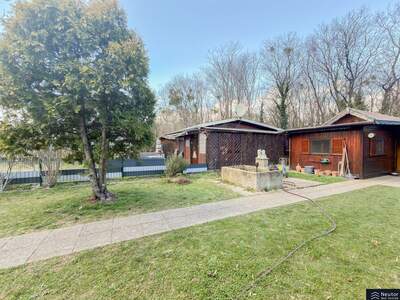 Haus mit Garten mieten in 1020 Wien (Bild 2)